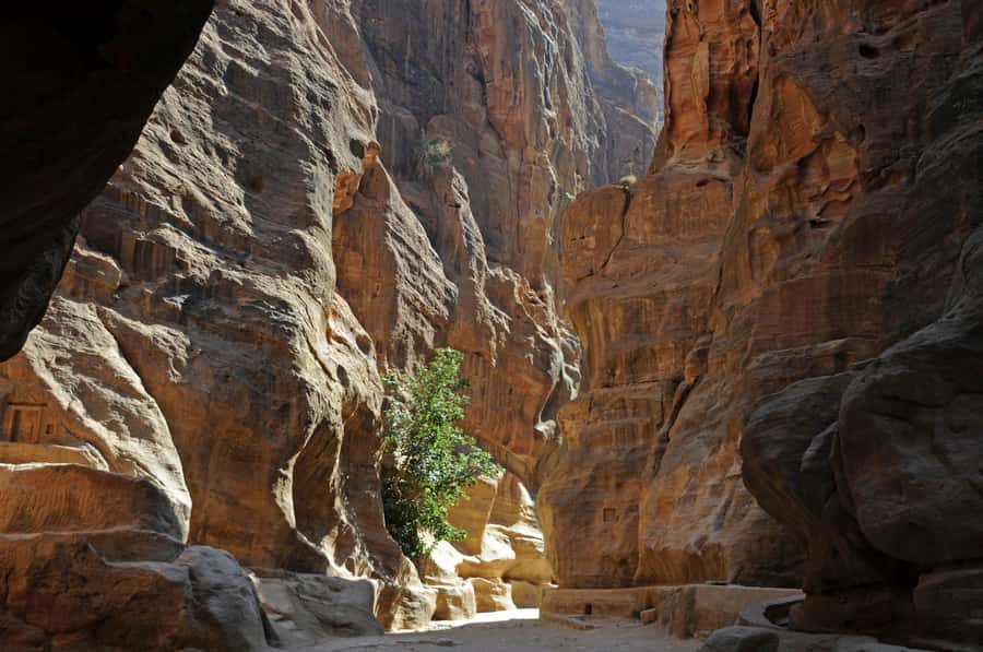 From Amman: Private full Day Tour to Petra & little Petra - Entering Petra through the Siq