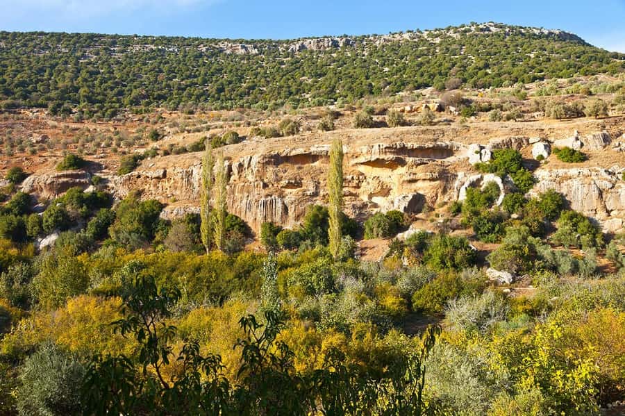 From Amman: Private Jerash, Ajloun Castle, and Umm Qais Tour - Umm Qais: wide views and a quieter ancient setting