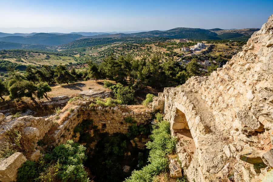 From Amman: Private Jerash, Ajloun Castle, and Umm Qais Tour - What the $57 price really buys you