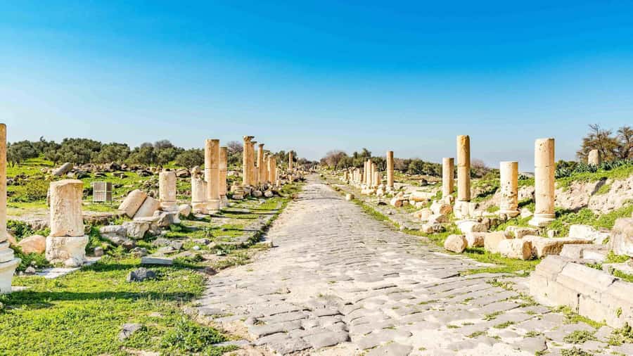 From Amman: Private Jerash, Ajloun Castle, and Umm Qais Tour - Which route should you choose?