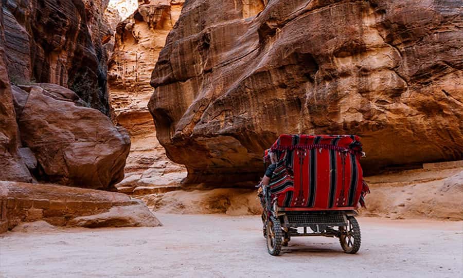 From Amman: Private Petra Day Trip with Guide - Walking through the 1.2-kilometer Siq