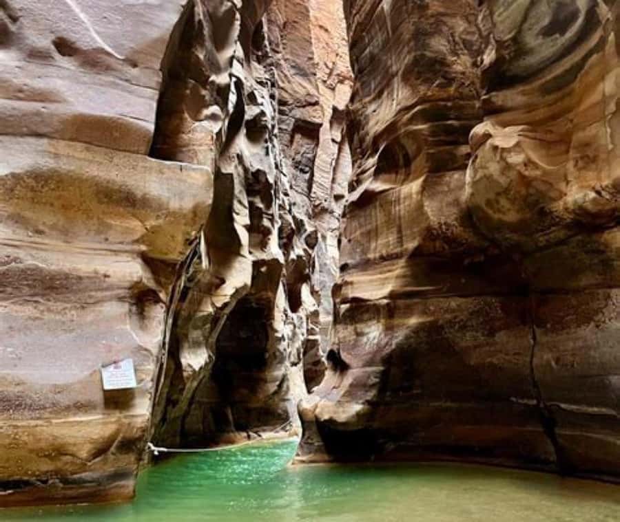 From Amman:To Al-Mujib Canyon & Dead Sea Salt Beach Day Trip - From canyon adventure to Dead Sea salt