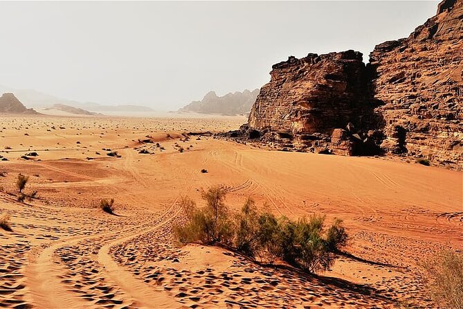 From Amman to Petra and Wadi rum ( Private two days) - From Petra to the red desert of Wadi Rum