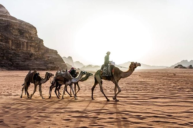 From Amman to Petra and Wadi rum ( Private two days) - What the $750 group price really buys