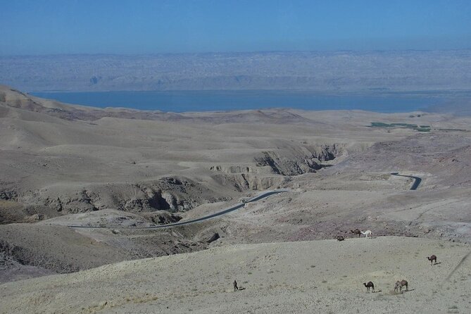 From Amman to West ( Madaba, Mt Nebo, baptism site and dead sea) - What the private format is really worth