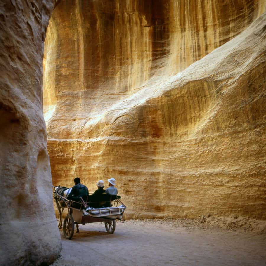 From Aqaba: Petra 1 Day Tour - The guide can make or break the day