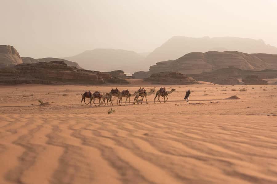 From Eilat, Jerusalem, Tel Aviv: Petra & Wadi Rum 3-Day Tour - Why three days works better than two