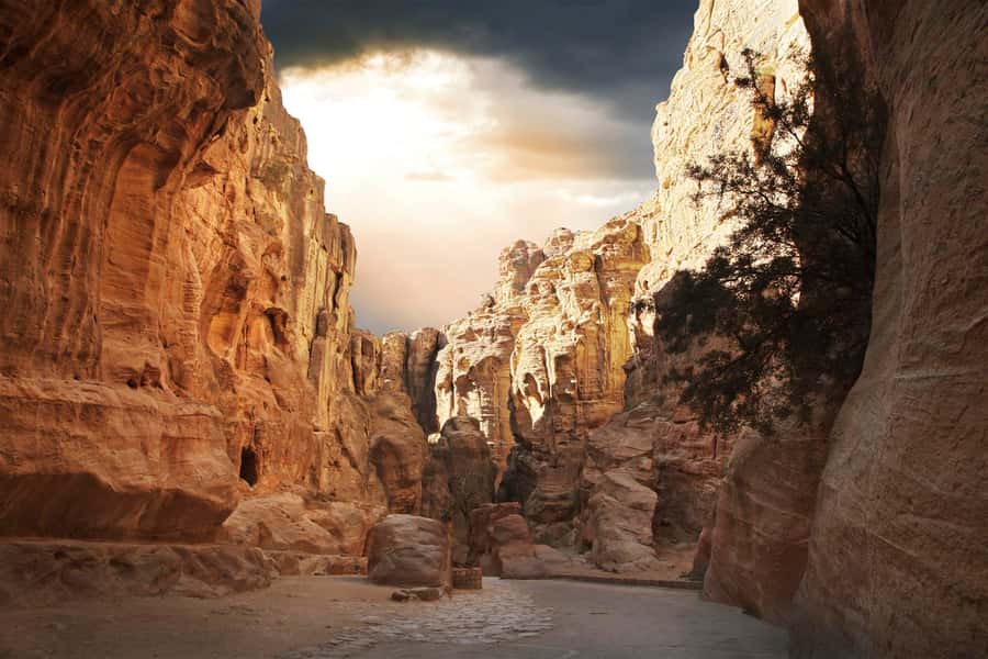 From Eilat: Petra Day Private Tour - Crossing into Jordan: the extra cost that changes the value