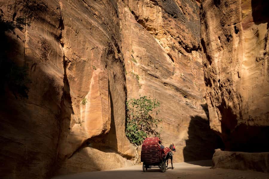 From Jerusalem: Petra 2-Day Tour - Lunch in Wadi Musa and the long ride home