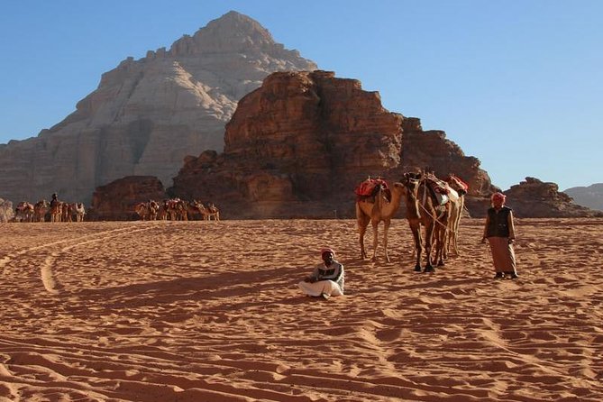 From Petra to Wadi Rum, then back to Amman or the airport. - What the $133 price really covers
