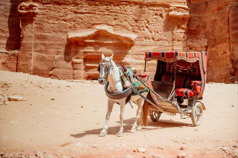 From Tel Aviv: Petra 1-Day Guided Tour with Transfers - The desert road toward Petra