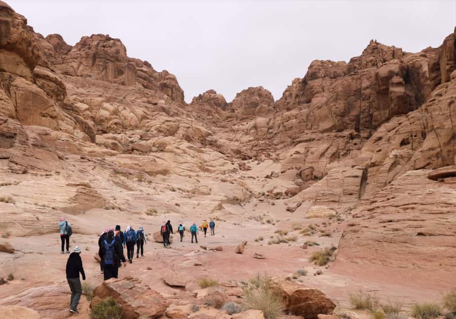 From Wadi Rum: 2-Day Hiking Adventure and Jeep Tour - Reaching Al Hash Mountain at 1,700 Meters