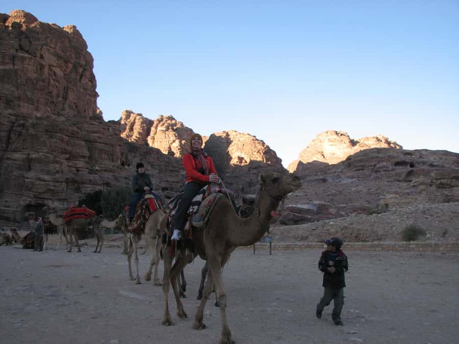 From Wadi Rum: Camel Ride Experience with Tea and Guide - Meeting the camels and learning how to mount