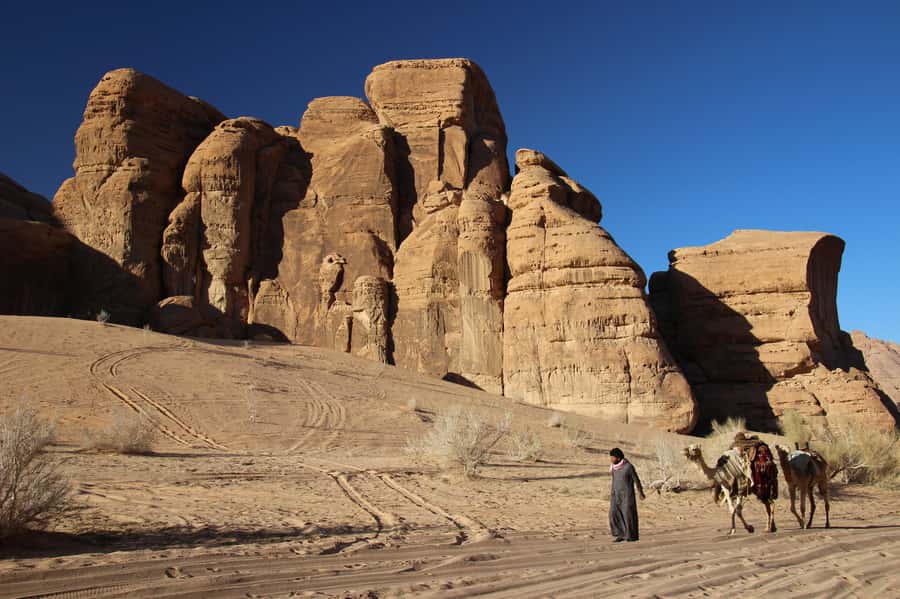 From Wadi Rum: Camel Ride Experience with Tea and Guide - How the guide affects the experience