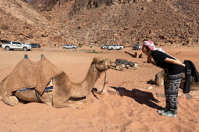 Full Day 4x4 Classic Desert Tour with overnight in private tent - Lawrence House and the stories behind the rocks