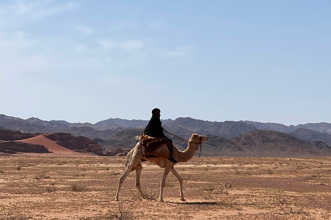 Full-Day Hiking in Wadi Rum's Desert with Lunch - Lunch, Bedouin tea, and a shaded rest