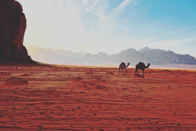 Full Day Jeep and Camel Tour - Walking through Khazali Canyon