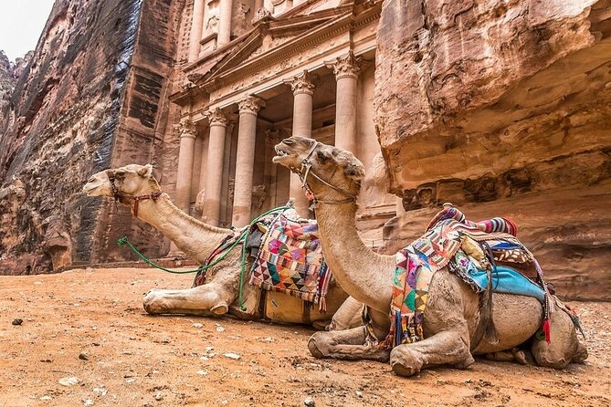Full Day Petra and Wadi Rum Tour from Amman - Is $200 a fair price?