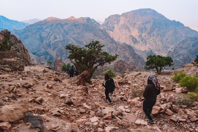 Full day Petra & Wadi Rum 01 hour stop in Dead Sea from Amman - Who should book this day?