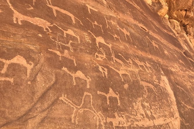 Full-Day Private Tour in Petra with Hotel Pick-Up - The Treasury, facades, theater, and tombs