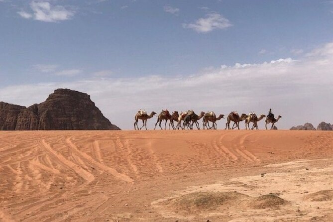 Full-Day Private Tour in Petra with Hotel Pick-Up - Who should book this Petra experience?