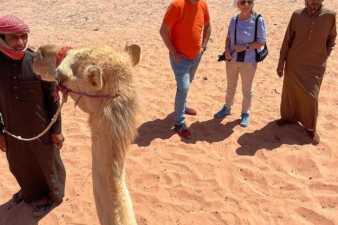 Full Day Tour Petra and Wadi Rum from Amman - The long return to Amman or the Dead Sea