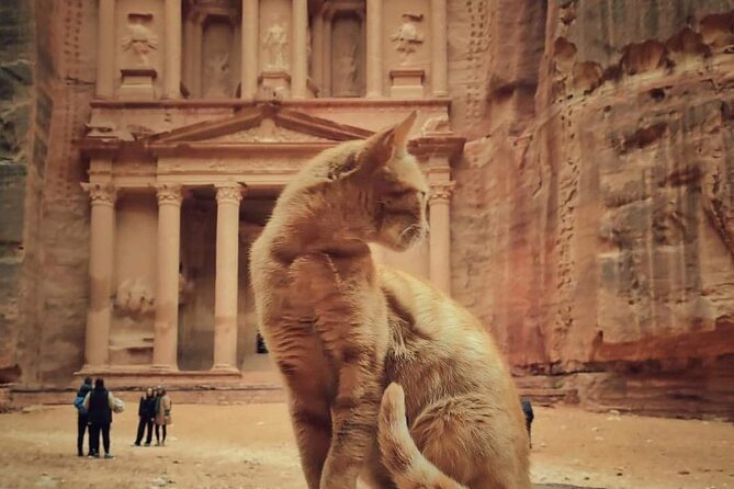 Full Day Tour Petra and wadi rum from Amman or Dead sea - Leaving Amman or the Dead Sea before the long drive