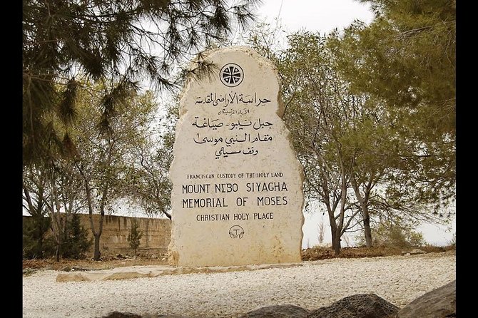 Full Day Tour To Mount Nebo, Madaba, and Dead Sea From Amman - What the driver service is really like
