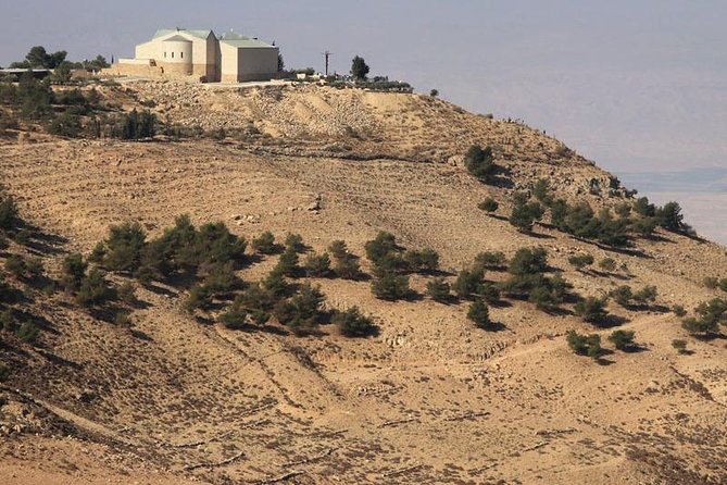 Full Day Tour To Mount Nebo, Madaba, and Dead Sea From Amman - Who should book this experience?