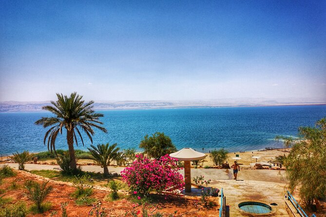 Full Day Tour To The Dead Sea From Amman - Floating in salt-heavy water