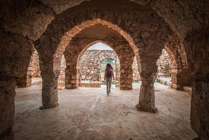 Full Day Umm Qais, Ajloun & Jerash - Timing, pace, and comfort on the road