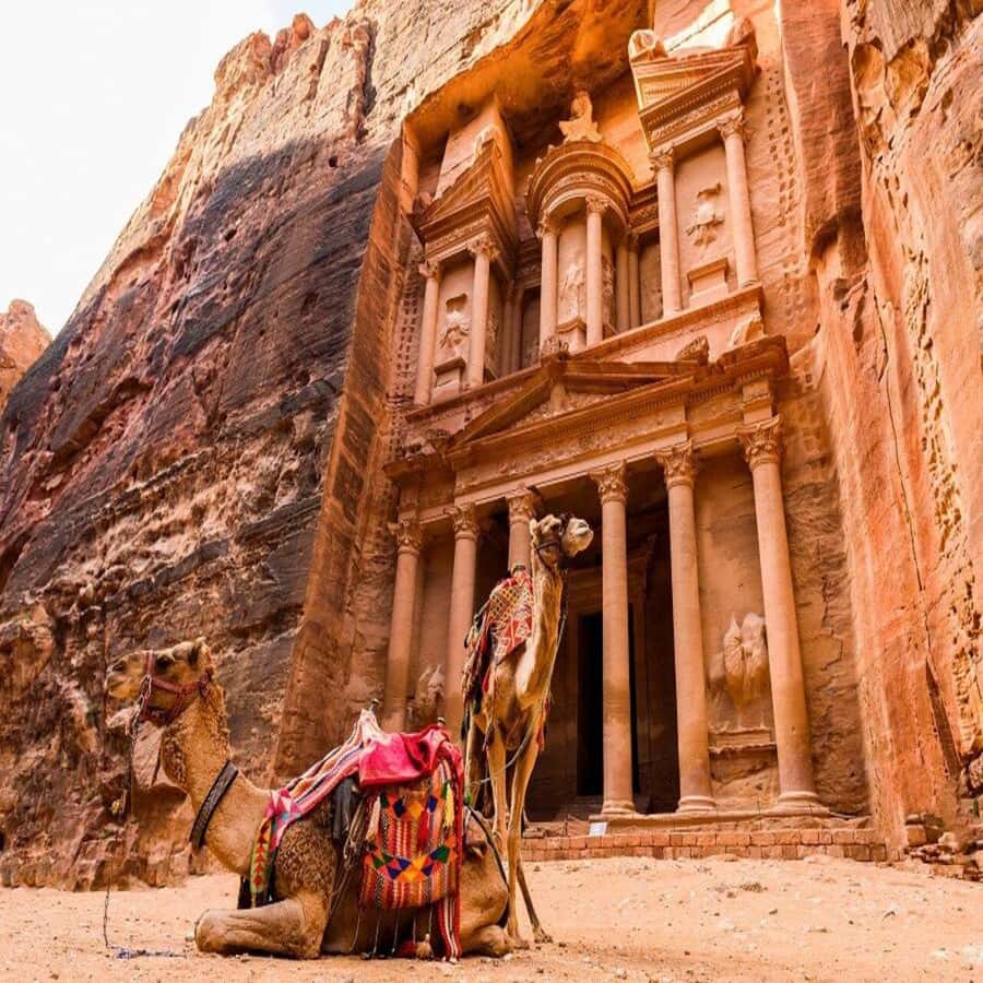 Full-Days Tours Petra from Amman - The Treasury and Petra’s main monuments