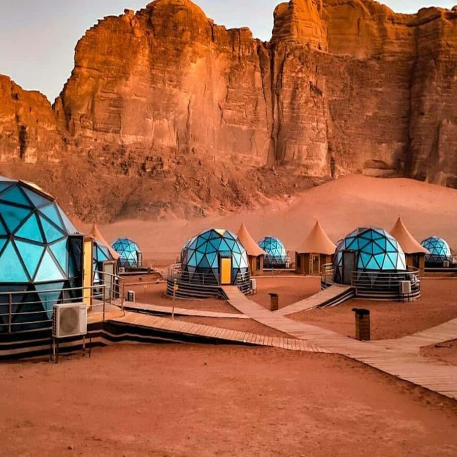 Full-Days Tours Petra from Amman - Does the $100 price offer good value?