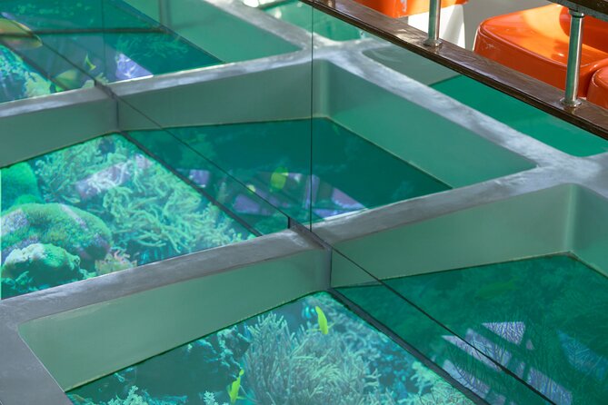 Glass-Bottom Boat 2-hours Tour and Coral-Reef Viewing from Aqaba - Drinks, Music, and the Mood Onboard