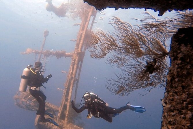 Guided Scuba Diving Adventure in Aqaba - Key Points Before You Book