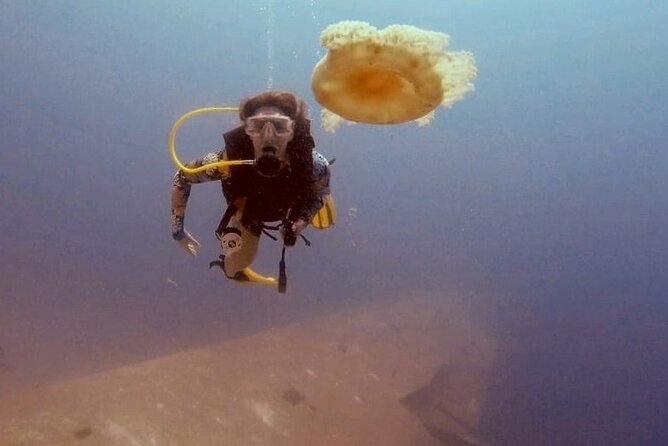 Guided Scuba Diving Adventure in Aqaba - Why Aqaba Is a Good Place to Try Scuba