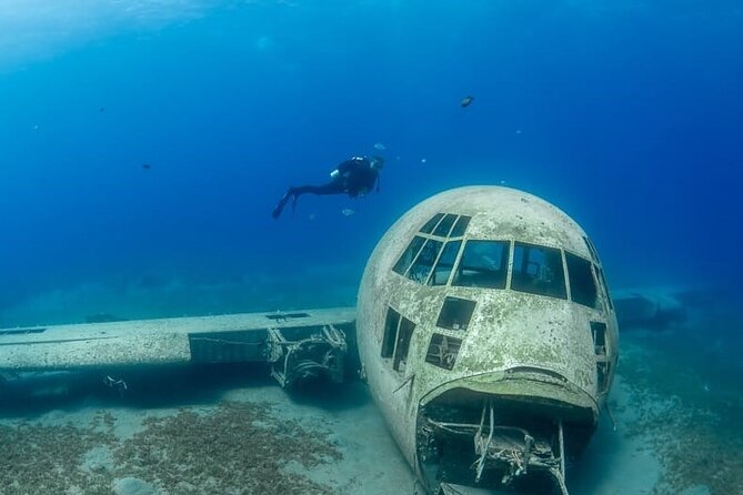 Guided Scuba Diving Adventure in Aqaba - The Briefing Makes This Work for First-Timers