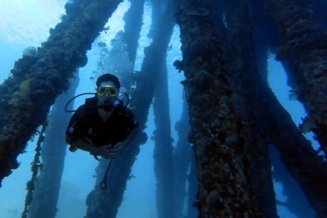 Guided Scuba Diving Adventure in Aqaba - How the Guides Shape the Experience