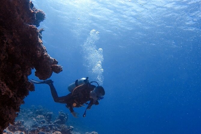 Guided Scuba Diving Adventure in Aqaba - Starting at the Aqaba Dive Center