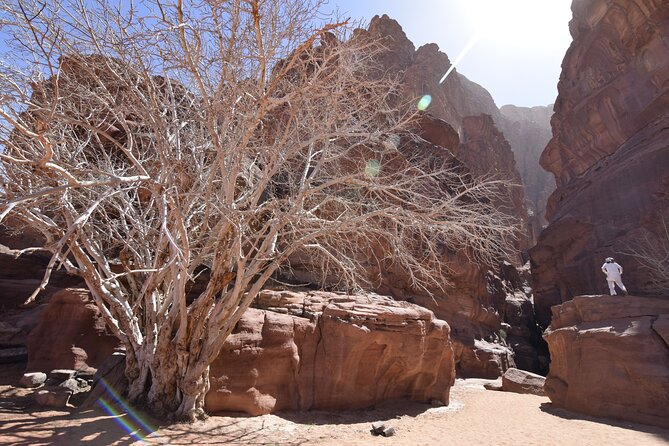 Half day Jeep and camel tour No stay - Walking the soft dunes and trying sandboarding
