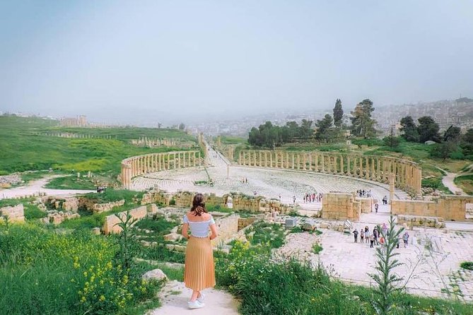 Half Day Private Tour From Amman To Jerash - What the driver service appears to be like