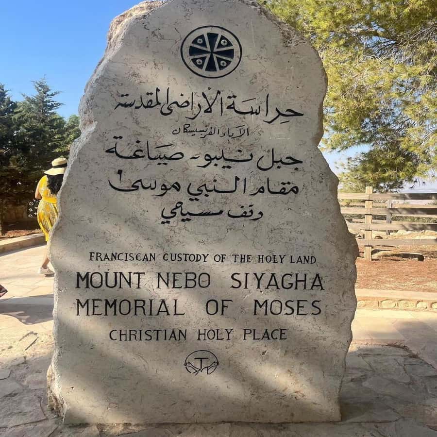 Half Day Tour To Madaba and Mount Nebo From Amman - Who should book this half-day outing?