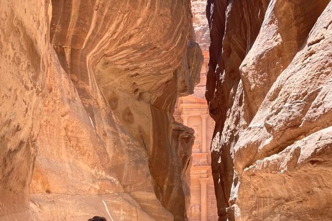 Half Day Tour to the Wonderful City of Petra - The three-hour return to Amman