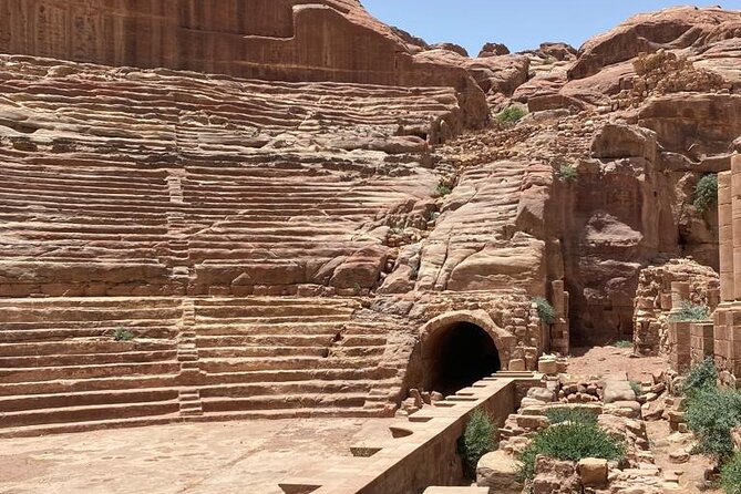 Half Day Tour to the Wonderful City of Petra - The driver experience and personal service
