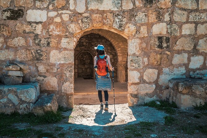 Jerash Ajloun and Umm Qais Private Tour - Who will get the most from this outing?