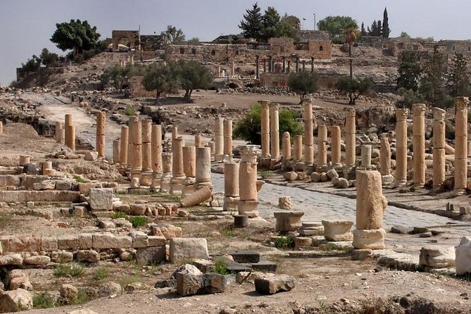 Jerash, Ajloun, and Umm Quais Full-Day Tour - The Long Run to Umm Qais