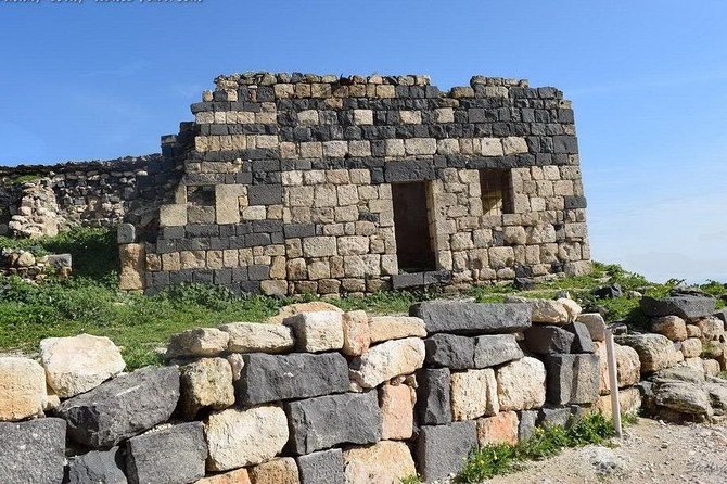 Jerash, Ajloun, and Umm Quais Full-Day Tour - What the Chauffeur Adds to the Day