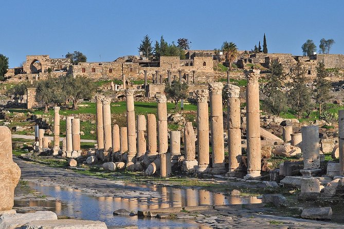 Jerash, Ajloun, and Umm Quais Full-Day Tour - Is Six to Eight Hours Enough?