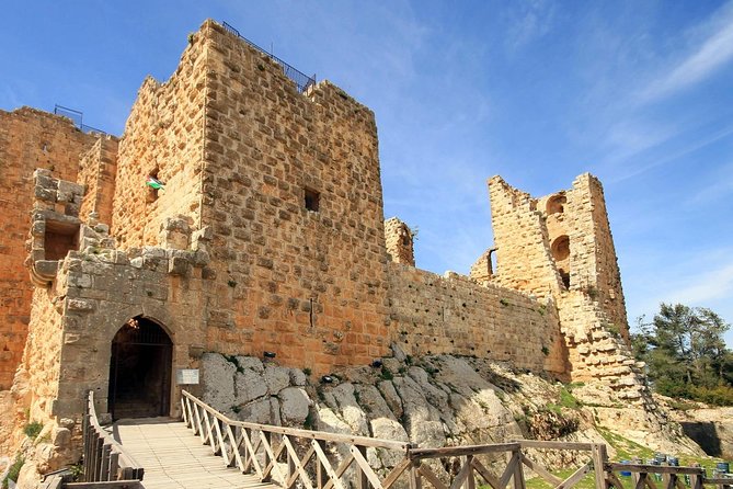 Jerash, Ajloun, and Umm Quais Full-Day Tour - Who Will Get the Most From This Tour?