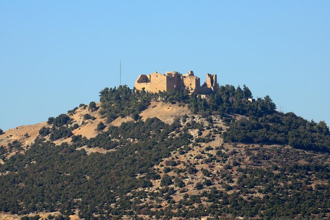 Jerash, Ajloun, Umm Qais Day Trip - Timing, order, and the cost of seeing all three